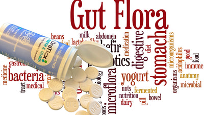 Is it Safe to Combine Oral and Gut Probiotics in Your Daily Routine?