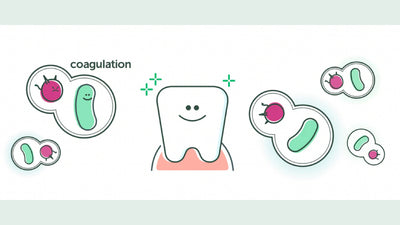 Harnessing the Power of Optimized Coaggregation of Probiotics for Oral Health: OraTicx to the Rescue