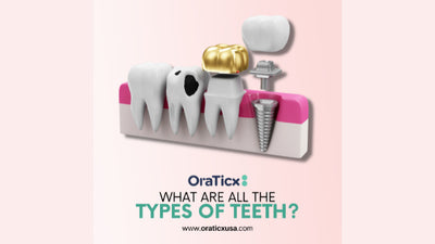What are all the types of teeth?