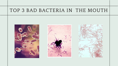 Top 3 bad bacteria in your mouth