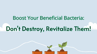 Revive Beneficial Bacteria for Optimal Oral Health with Oral Probiotics