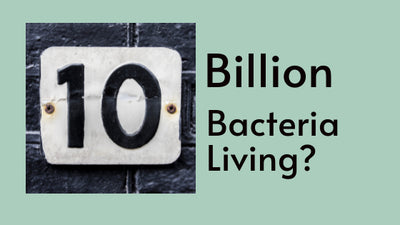 10 Billion Bacteria Living In The Mouth?