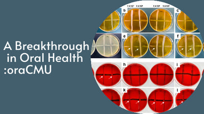 Weissella cibaria CMU's Potent Anti-biofilm, Antibacterial, and Anti-inflammatory Effects