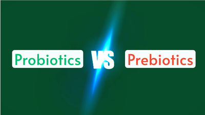 The Dynamic Duo: Understanding Probiotics and Prebiotics