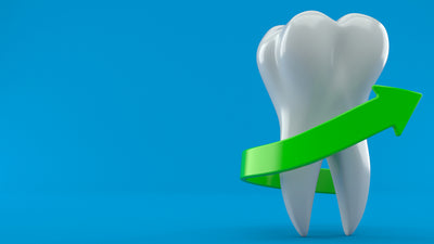 Dental Probiotics: A Guide to the Best Oral Probiotics for Optimal Oral Health