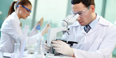 New Research Highlights Antifungal Potential of Weissella cibaria Oral Probiotics