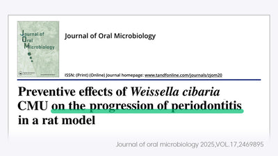Research Paper no.37