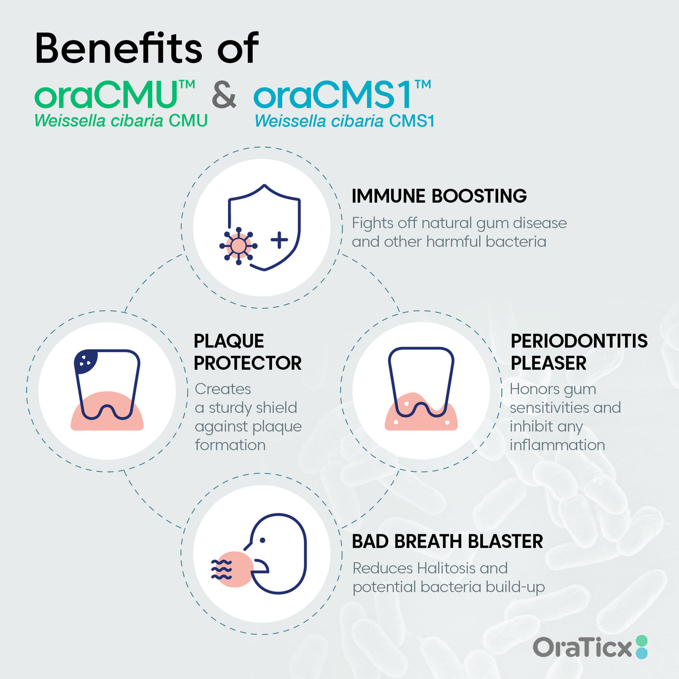 OraTicx Oral Probiotics - Benefits of Oraticx Probiotic : plaque protector, immune boosting, periodontitis pleaser, bad breath blaster